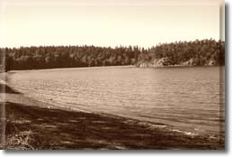 The shores of Tsetsibus